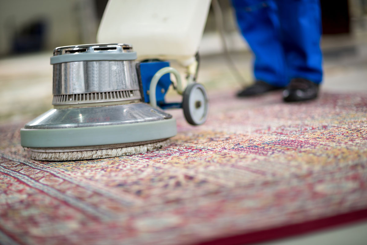 Best methods for cleaning a shaggy rug